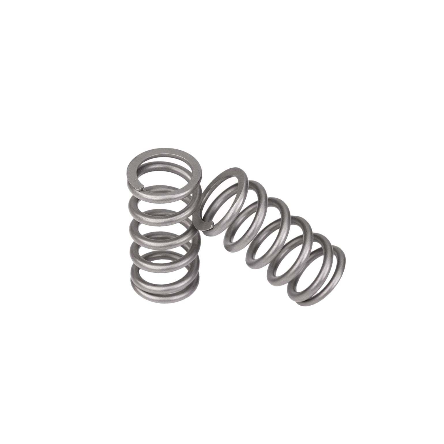 Valve Springs