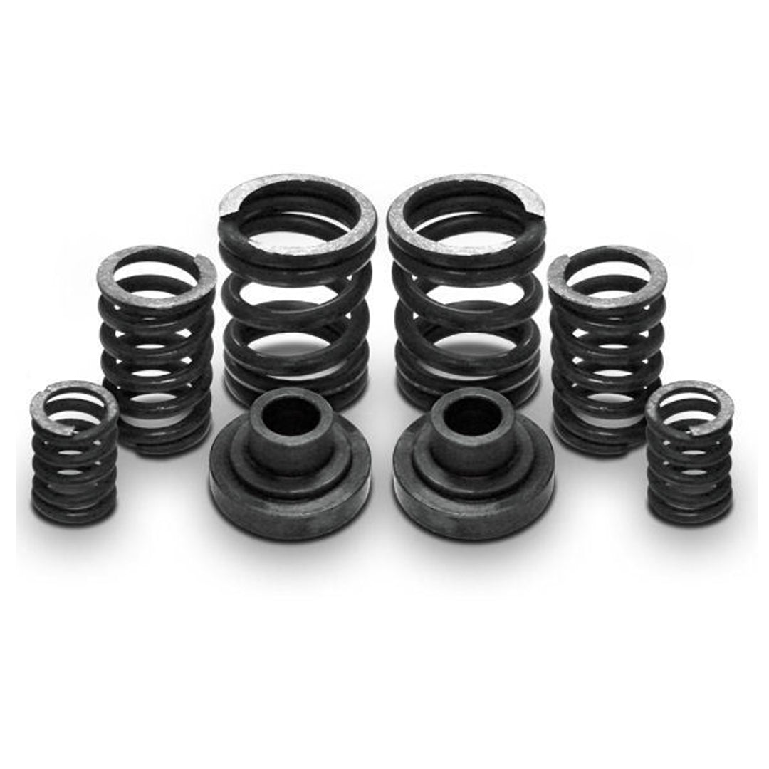 P7100 Governor Springs