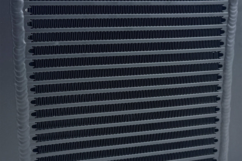 Photo - Close Up