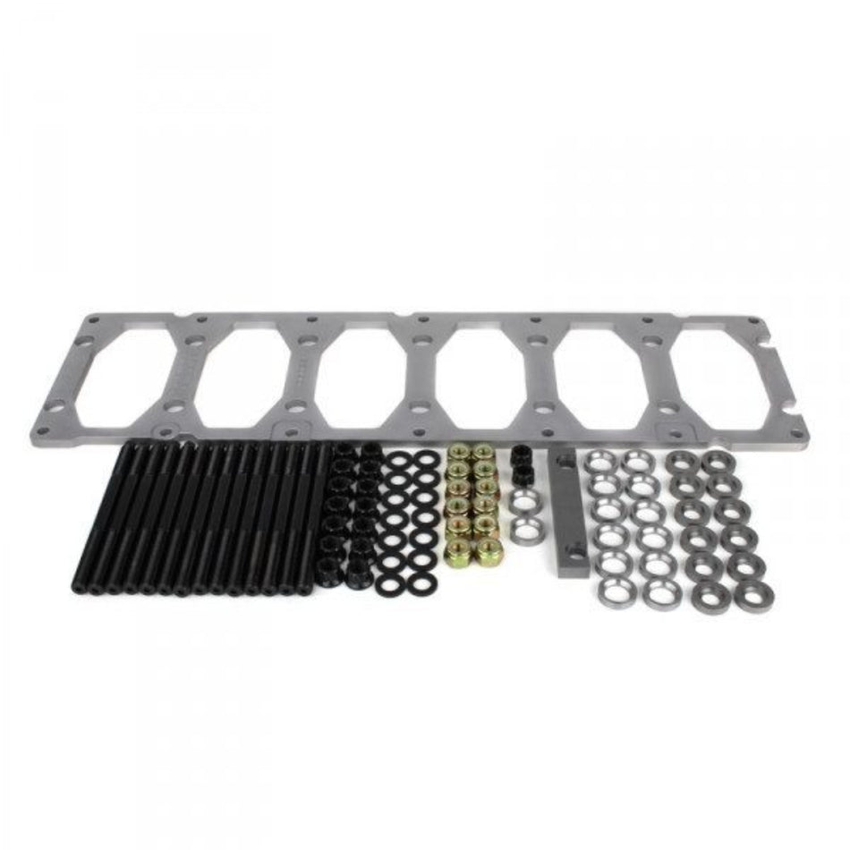 Industrial Injection PDM-06023 14mm Gorilla Girdle With Main Studs