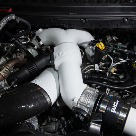 Photo - Mounted