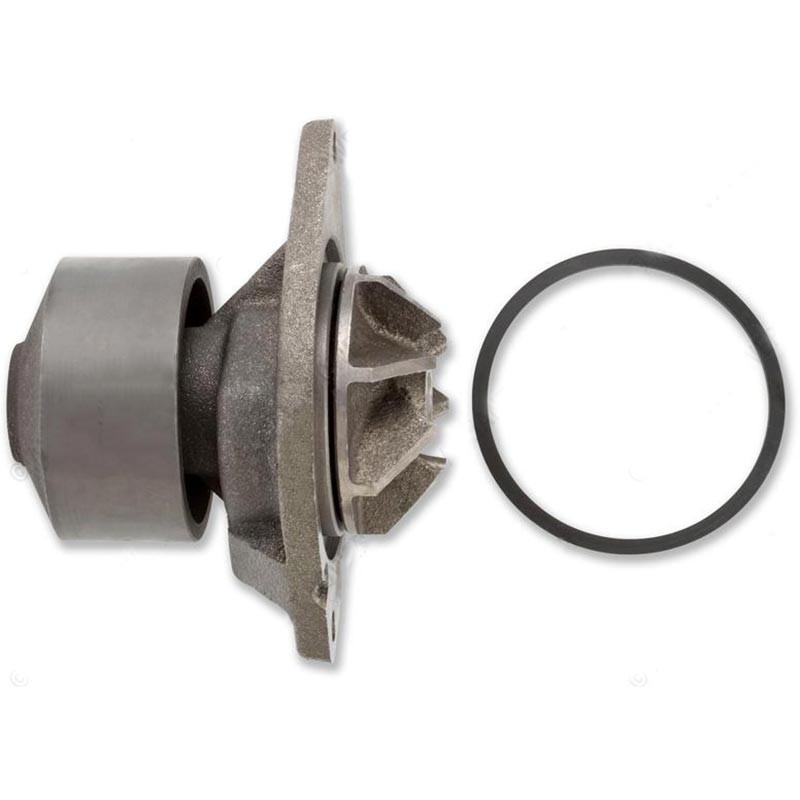 Bomba de agua Alliant Power AP63533