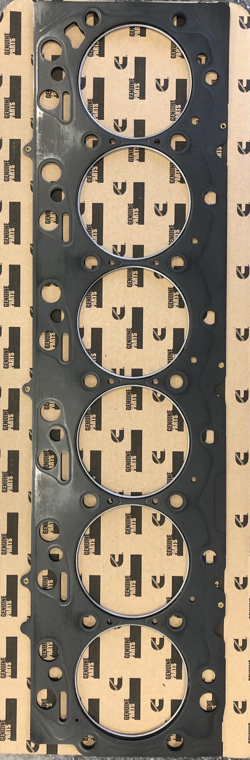 Haisley Machine HMR FRG 6.7 2019 Fire Ring Gasket Kit 6.7L, 2019–Present