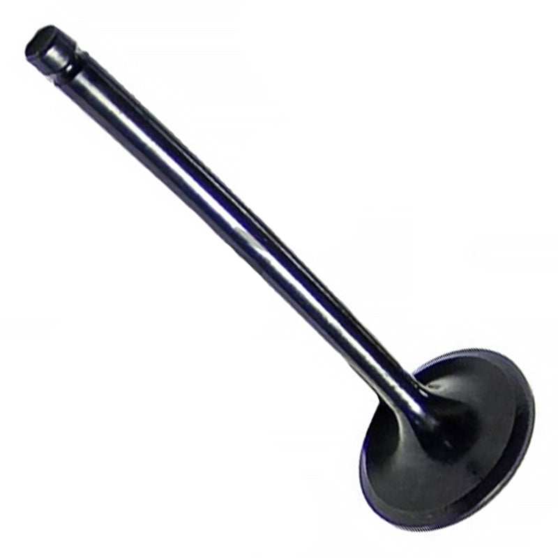 Interstate McBee M-3901117 Intake Valve 5.9L 12v Cummins