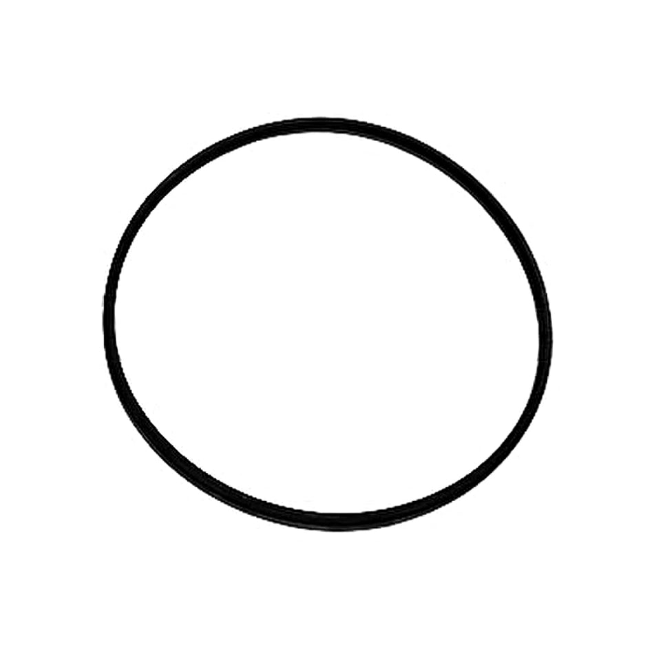 Interstate McBee M-3969698 Injection Pump Seal Ring for 94-98 5.9L Dodge Cummins