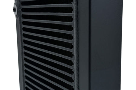 Photo - Close Up