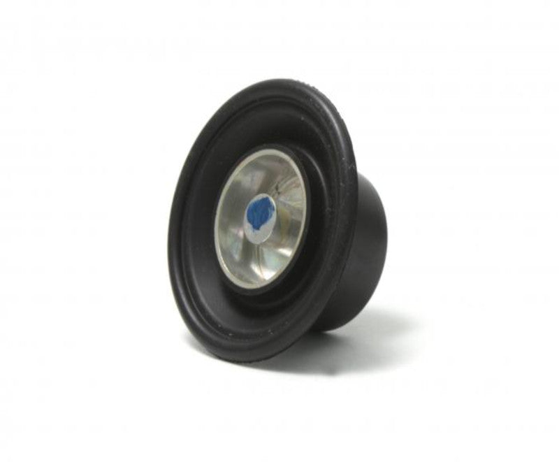 BorgWarner CRV Diaphragm