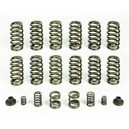 Pacbrake Valve & Governor Spring Kit (12 springs) - 94-98 Dodge Cummins 5.9L 12V