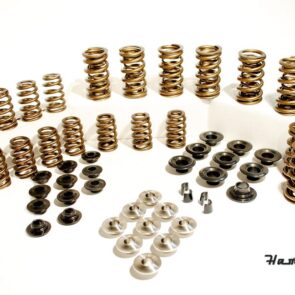 Valve Springs